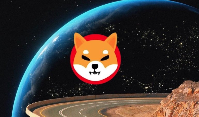 Why You Should Buy Shiba Inu Now