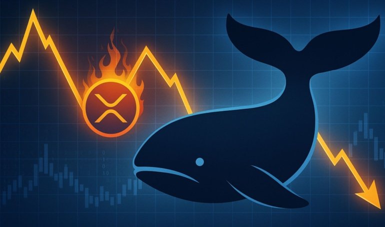 XRP Whale Activity Signals Warning: Distribution Pattern Resurfaces