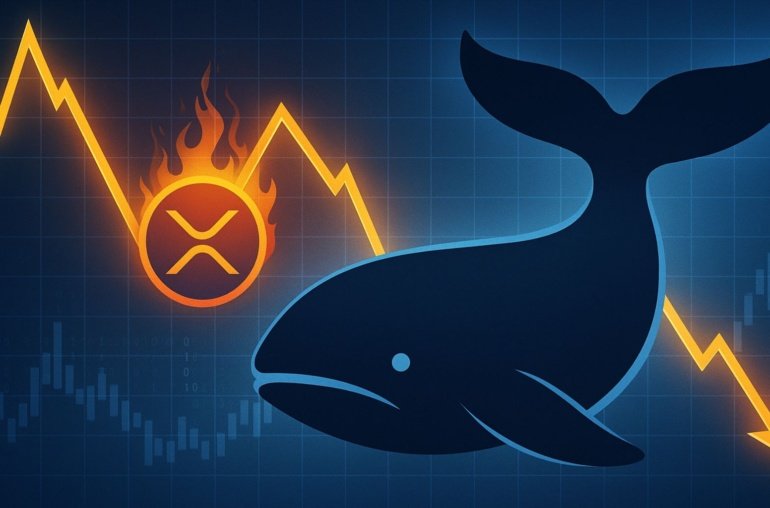 XRP Whale Activity Signals Warning: Distribution Pattern Resurfaces