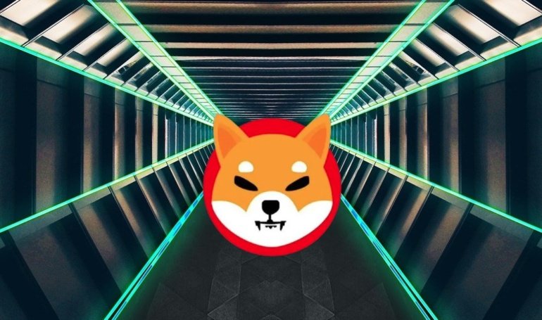 ,000 Can Turn .25 Million If This Shiba Inu Prediction Comes True