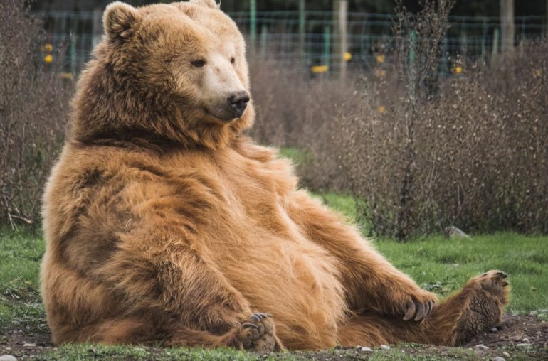 BTC Options Tilt Bearish Ahead of Friday’s Expiry: Crypto Daybook Americas