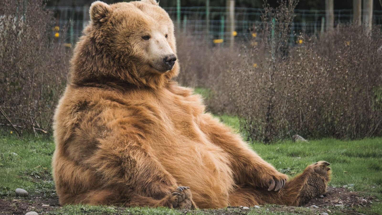 BTC Options Tilt Bearish Ahead of Friday’s Expiry: Crypto Daybook Americas