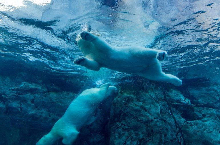 Bitcoin Price (BTC) and Ether Price (ETH) Tumble After Short-Lived Rallies