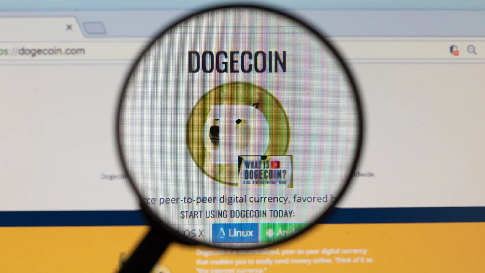 Dogecoin Product Could hit the Market This Week