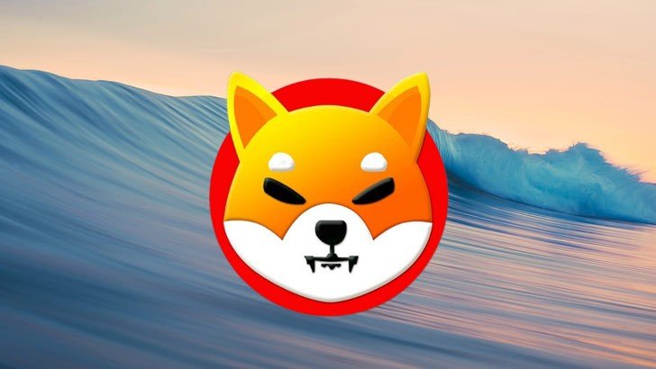 From September 2021 to 2025, Shiba Inu Has Risen Only 33%