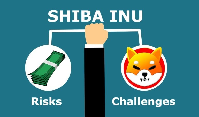 Risks & Challenges of Buying Shiba Inu (SHIB)