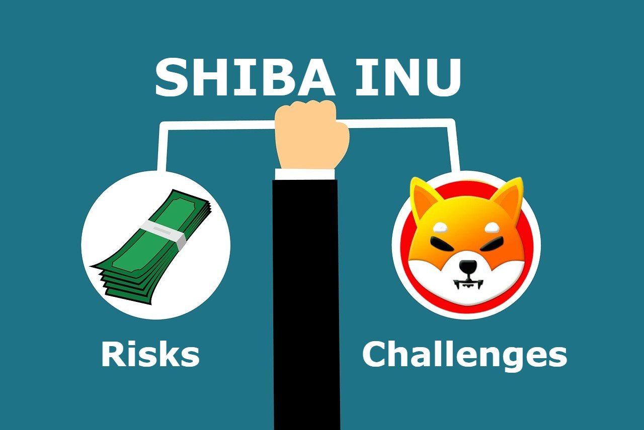 Risks & Challenges of Buying Shiba Inu (SHIB)