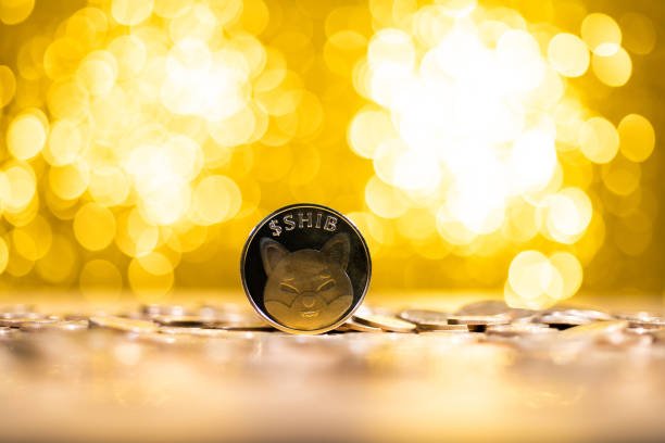 Shiba Inu Active Addresses Crash Over 50% In 3 Months, What About SHIB Price?