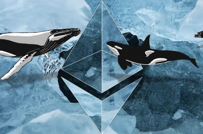 Whales and Sharks Fuel Ethereum’s Comeback, Price Eyes .5K