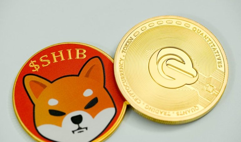 Will SHIB Generate Profit or Loss?