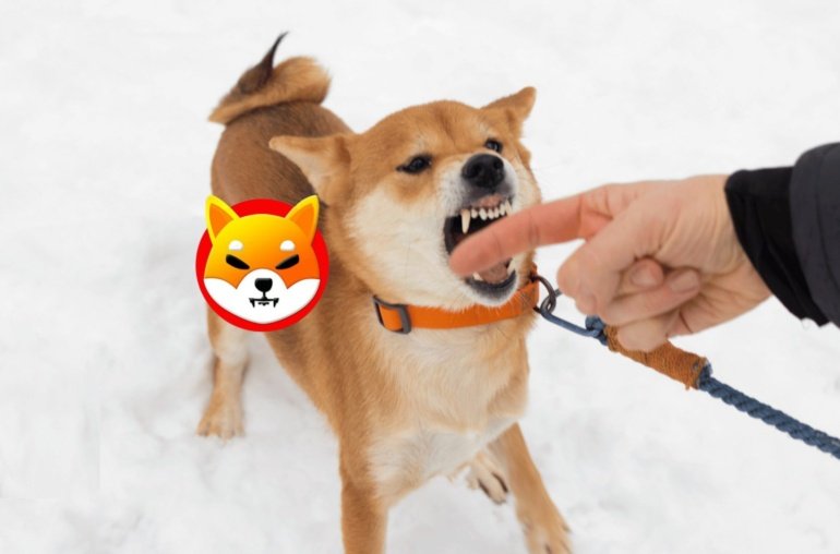 Have People Lost Interest In Shiba Inu? What’s Going On?