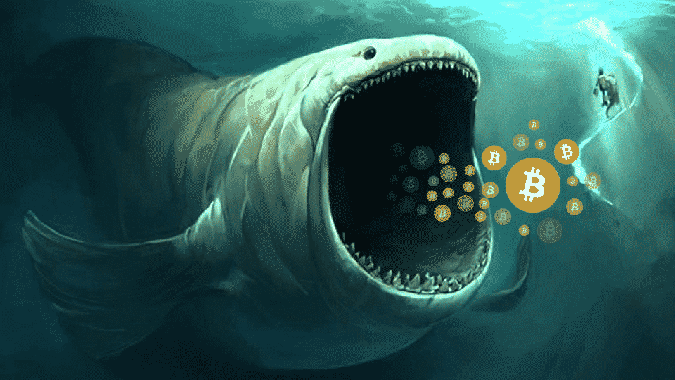 Whale Repeats 2M Bitcoin Short Bet