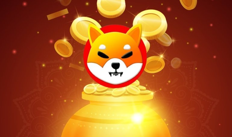 ,000 in Shiba Inu Dipped to , Then Went Up to  Million