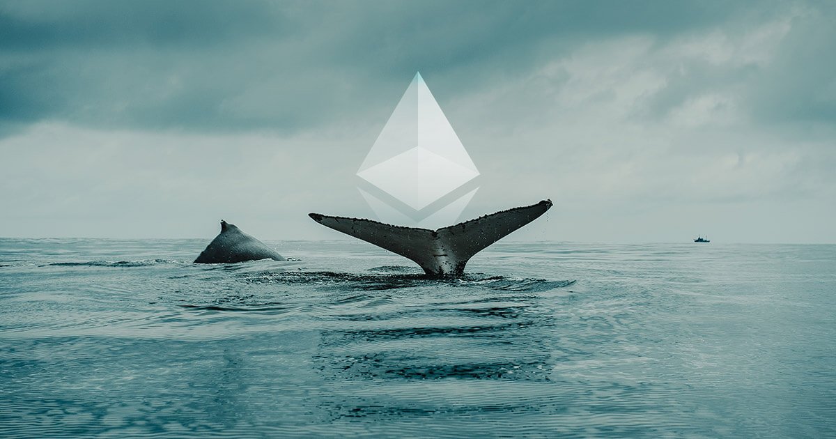Mysterious Whale Buys 14,254 Ethereum, Spends .47 Million