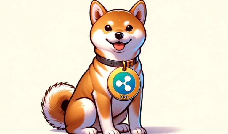 The Day Momentum Finally Snaps Into a Full Rally