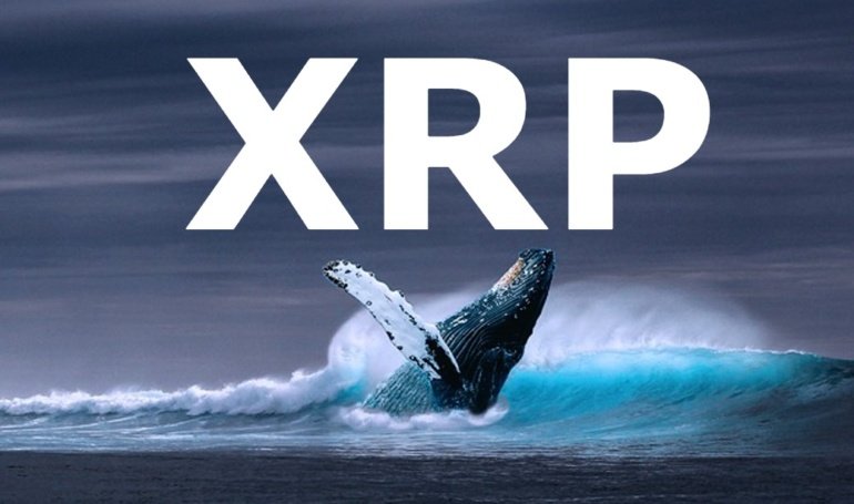 Whales Dump 0 Million Worth of XRP: Price Falls Below .2