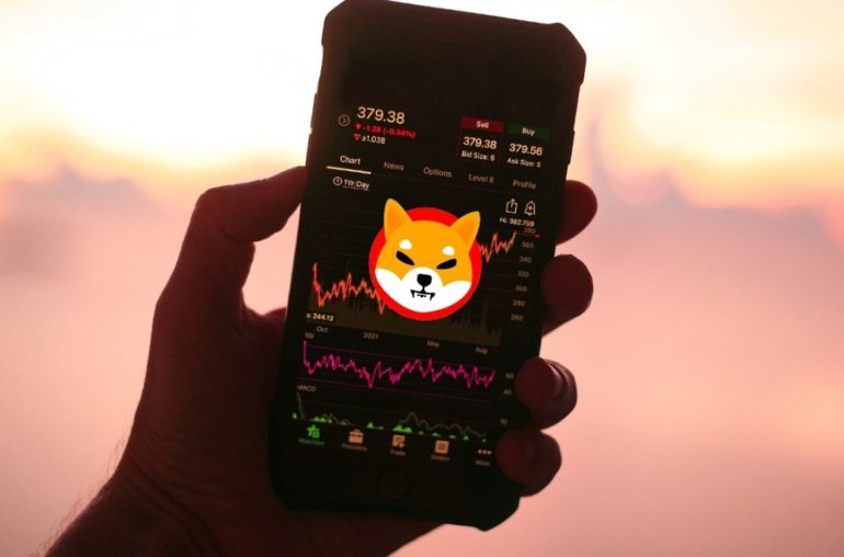 What Could 1,000 SHIB Be Worth by 2050?