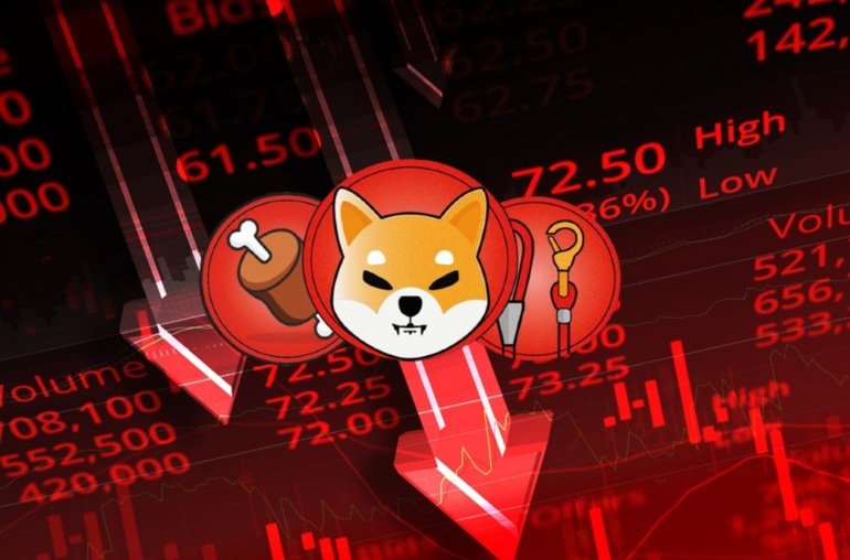 Will Shiba Inu Collapse? SHIB Team Addresses Investor Concerns