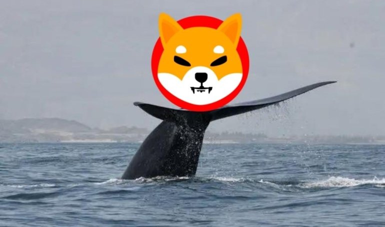 169B SHIB Whale Sweeps Coinbase, Eyes Potential Meme Rally