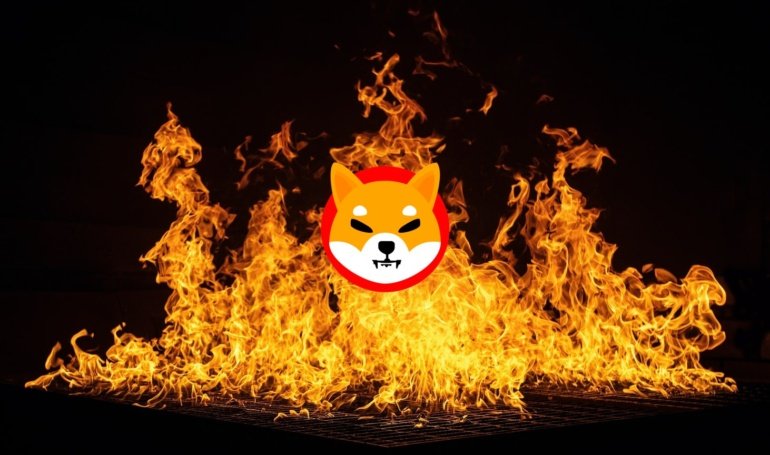 Is Shiba Inu A Profitable Purchase For 2026?