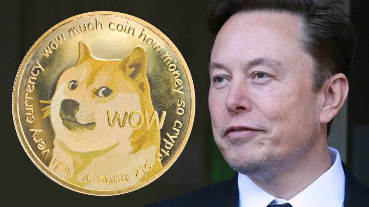 Dogecoin Rallies After Elon Musk’s DOGE On The Moon Comment