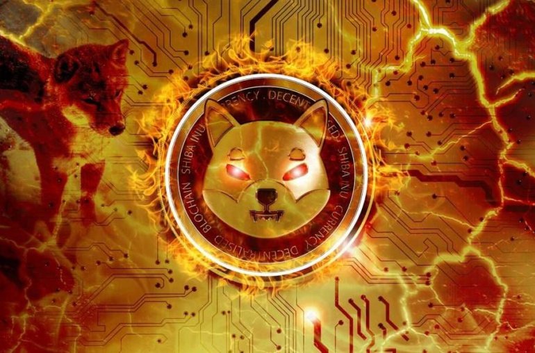 Is Shiba Inu Coin Dead? What SHIB On-Chain Data Reveals