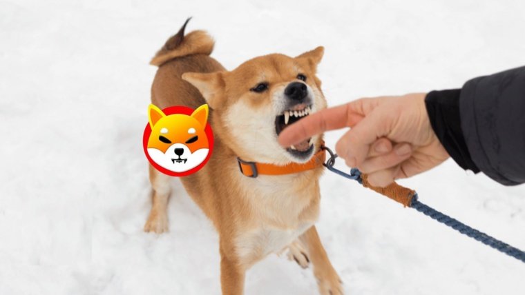 Know This Before Selling Your Shiba Inu (SHIB) Coins