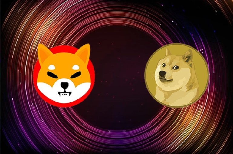 Shiba Inu and Dogecoin Lose  Billion in Market Cap