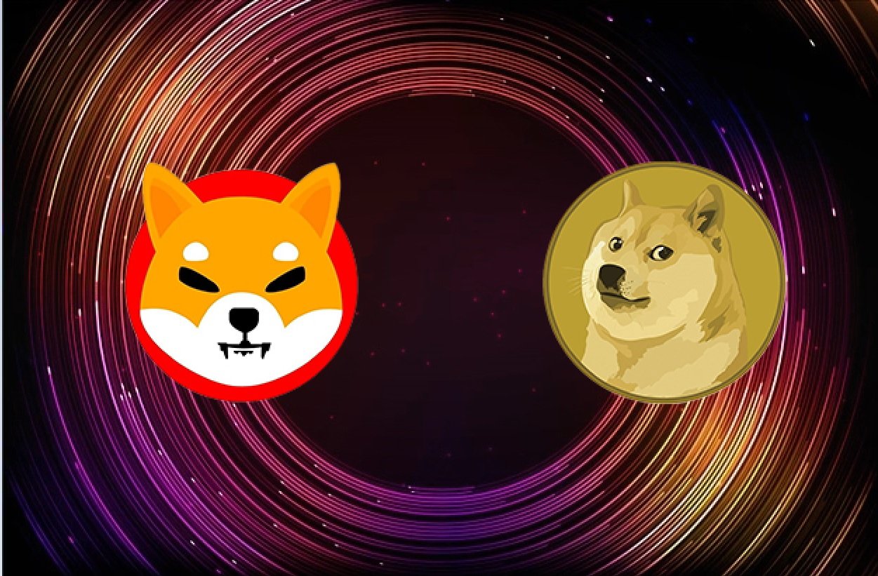 Shiba Inu and Dogecoin Lose  Billion in Market Cap