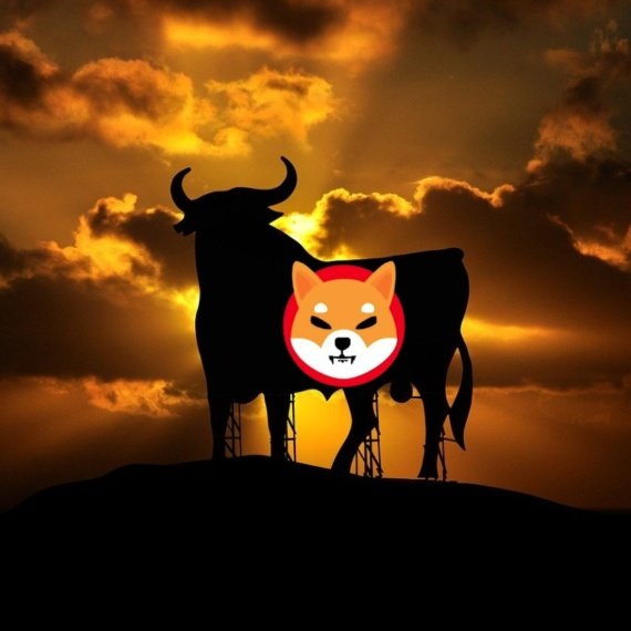 Can Shiba Inu Still Rise 100%?