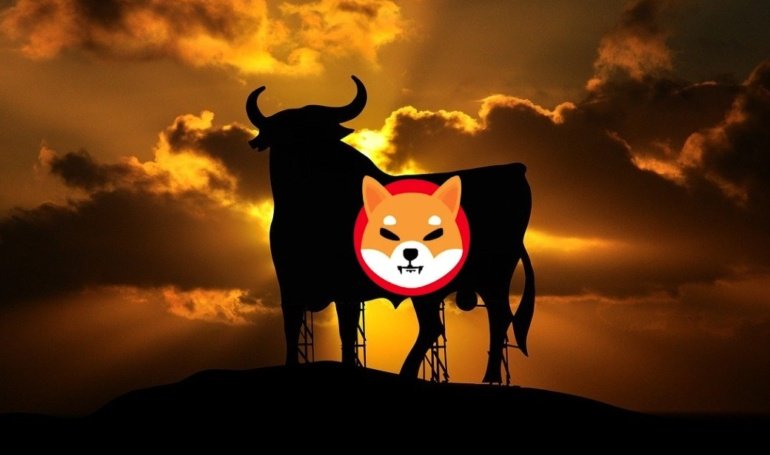 Can Shiba Inu Still Rise 100%?