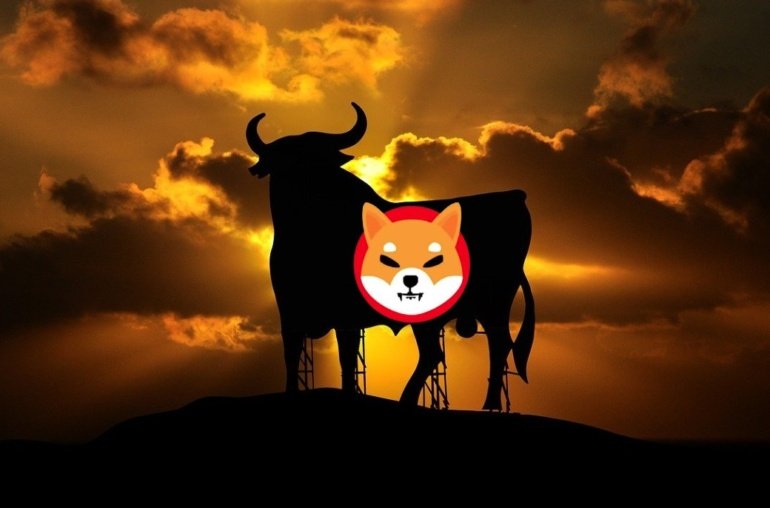 Can Shiba Inu Still Rise 100%?