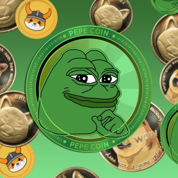 DOGE, PEPE Or BONK, Who Wins By 2030?