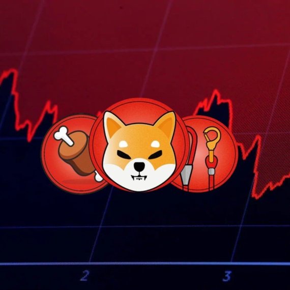 Shiba Inu Investors Are Accumulating: Should You Buy?