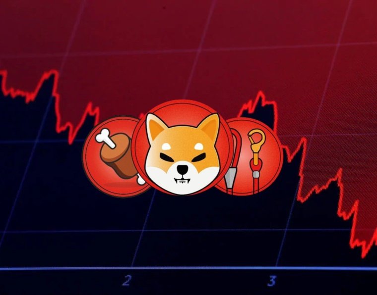 Shiba Inu Investors Are Accumulating: Should You Buy?