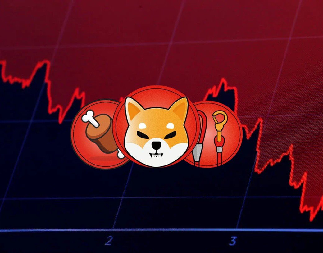 Shiba Inu Investors Are Accumulating: Should You Buy?