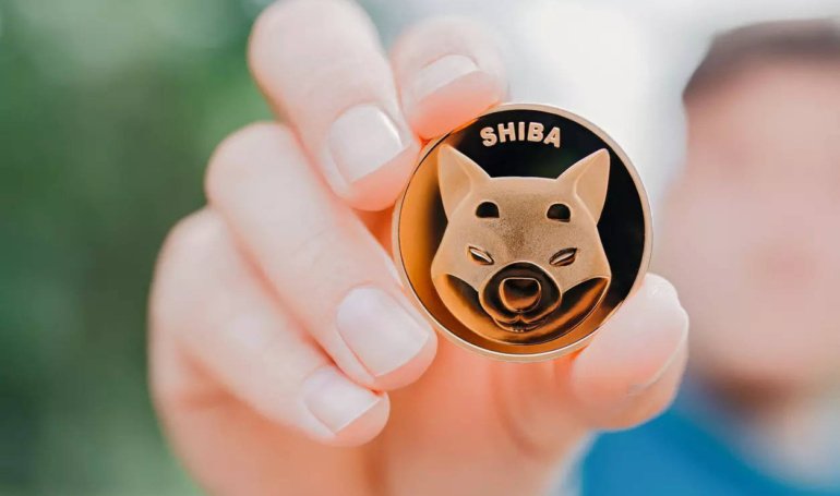 Will SHIB Follow The Rally?