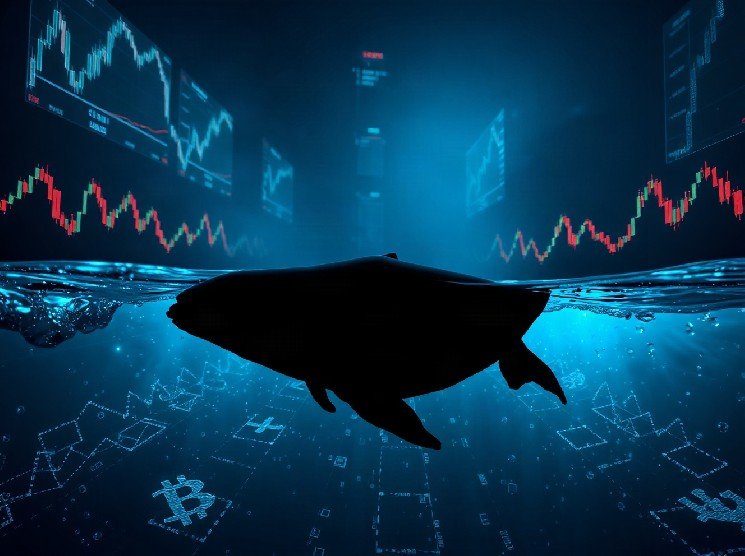 Whale Opens $81.6M in Leveraged BTC and ETH Shorts on Hyperliquid Whale Opens $81.6M in Leveraged BTC and ETH Shorts on Hyperliquid