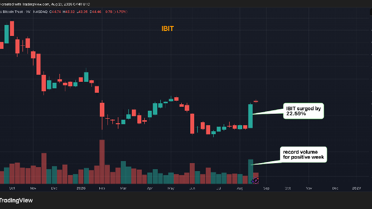 BlackRock’s Mitchnick says macro case for bitcoin is strengthening after record trading in positive week BlackRock's Mitchnick says macro case for bitcoin is strengthening after record trading in positive week
