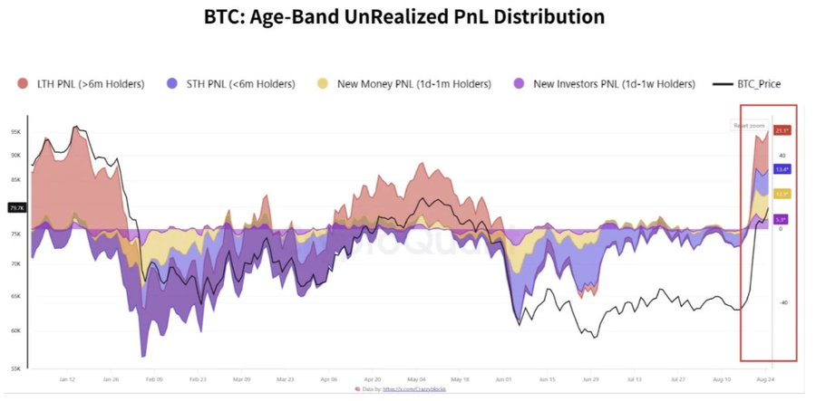 BTC Age-Band Unrealized PnL Distribution. Source: CryptoQuant data