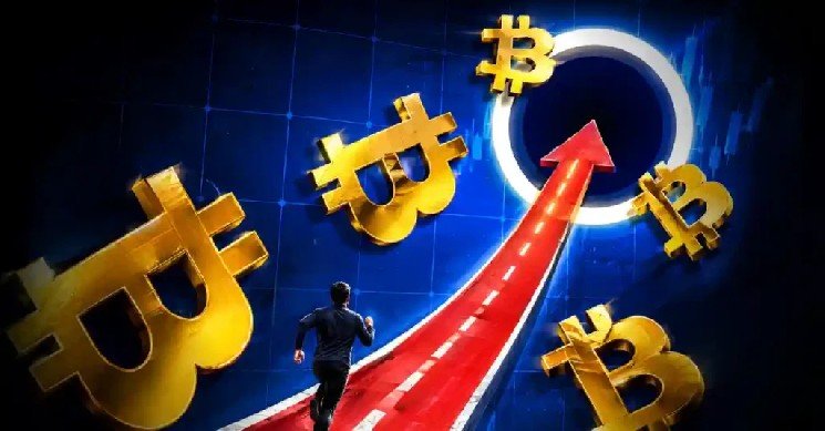 Real Bull Run or Ultimate Bull Trap? Real Bull Run or Ultimate Bull Trap?