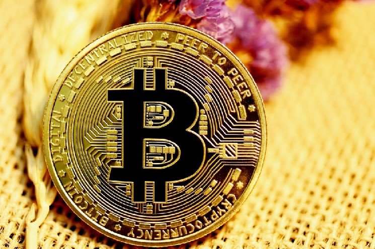 On-Chain Data for Bitcoin and Altcoins Has Been Updated: Here’s the Latest Information You Need to Know On-Chain Data for Bitcoin and Altcoins Has Been Updated: Here’s the Latest Information You Need to Know