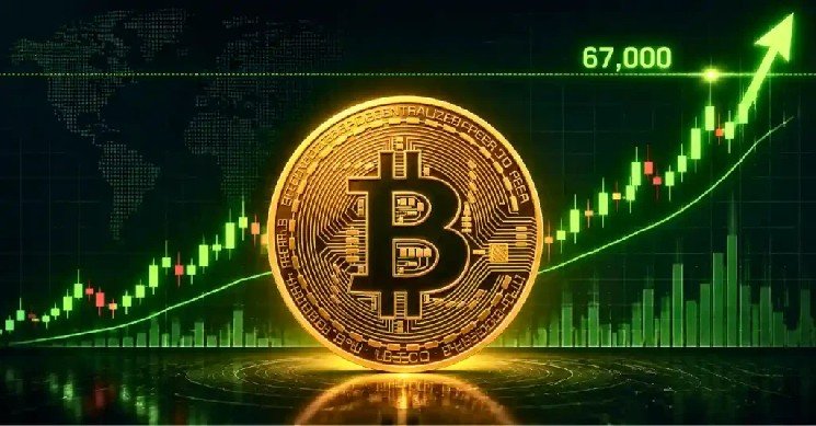 BTC Nears $80K After 18% Rally BTC Nears $80K After 18% Rally