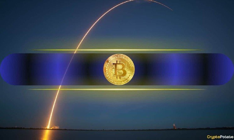 Why Did Bitcoin Explode Past $81K? 4 Macro Factors Behind the Rally Why Did Bitcoin Explode Past $81K? 4 Macro Factors Behind the Rally