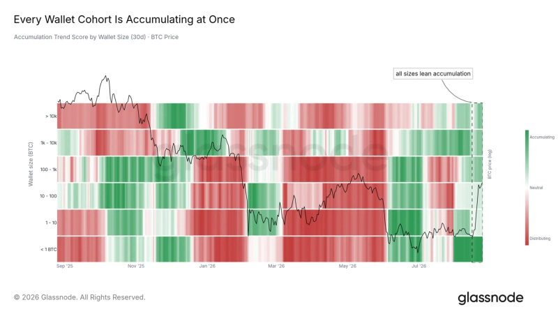 The 30-day accumulation trend across all Bitcoin wallet sizes is above the neutral line of 0.5, pointing to net buying across holder groups. Since the June 30 low, however, flows have diverged by wallet size. Large wallets holding more than 100,000 BTC absorbed 59,100 BTC, while entities holding 1,000 to 10,000 BTC sold 50,500 BTC. Photo: Glassnode