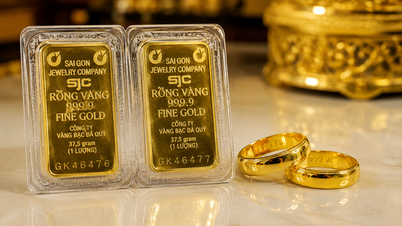 SJC gold prices increased by 2.8 million VND compared to the beginning of the week, while global prices surpassed $4,600 per ounce.