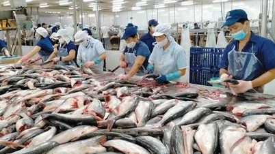 Seafood exports in July reached $1.1 billion; what is the current situation in major markets?