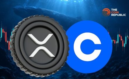 xrp price ripple whales