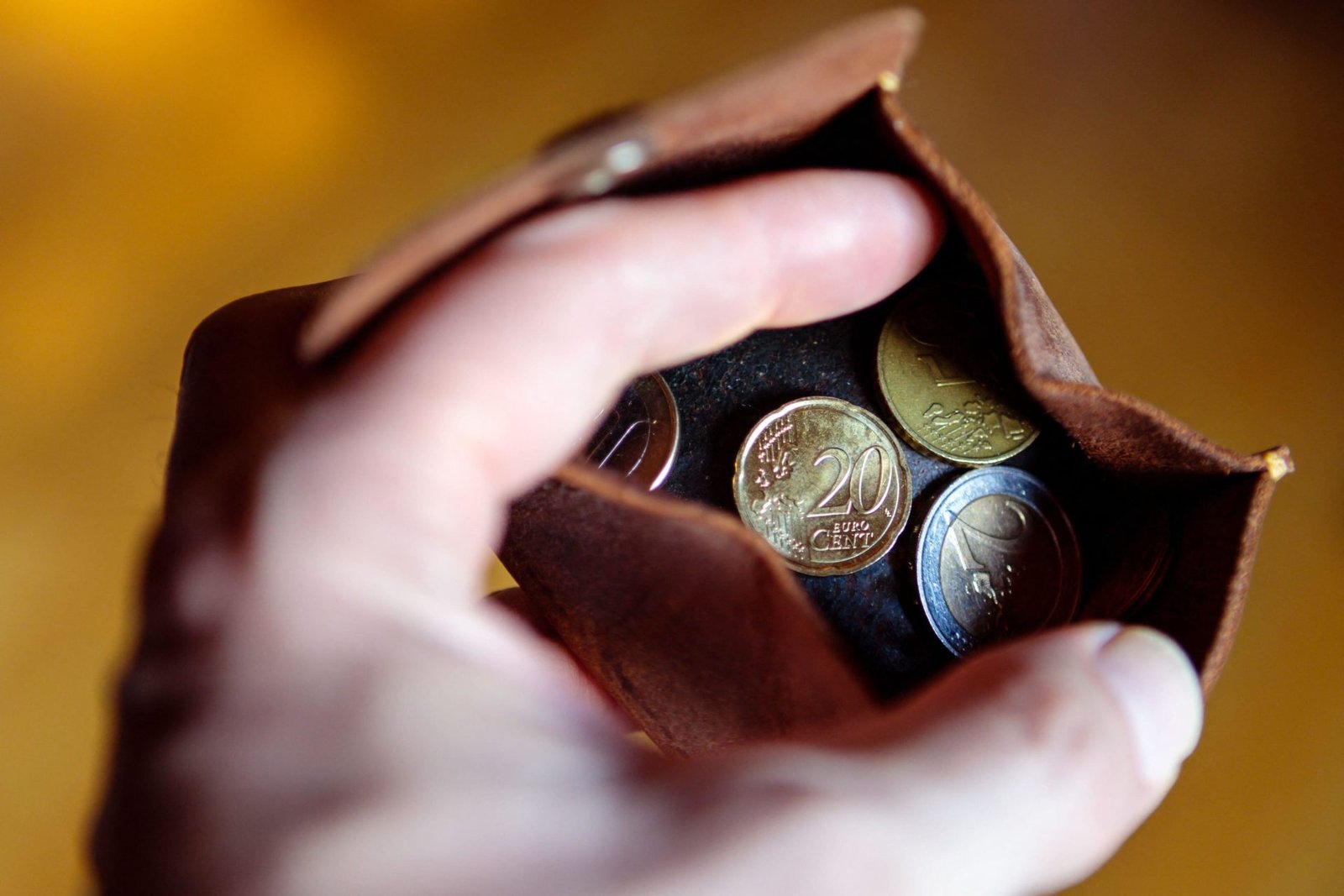 2JP4P60 A leather wallet with Euro coins in a mans hand.