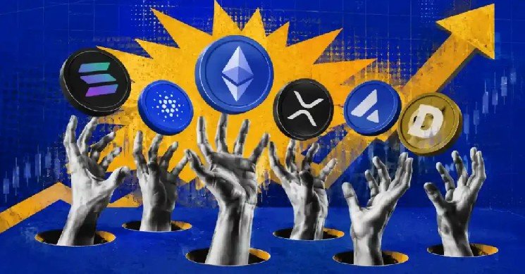 XRP, HYPE, ZEC and SOL as Altcoin Rally Builds XRP, HYPE, ZEC and SOL as Altcoin Rally Builds